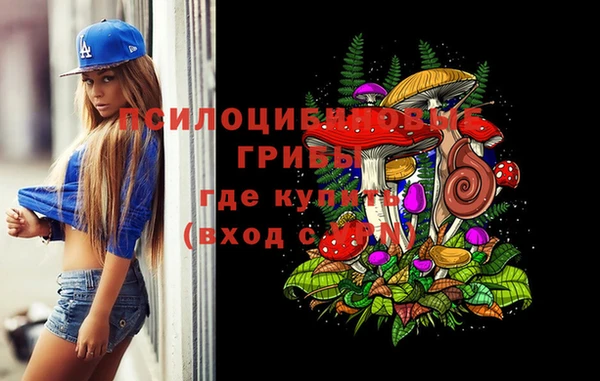 PSILOCYBIN Инсар