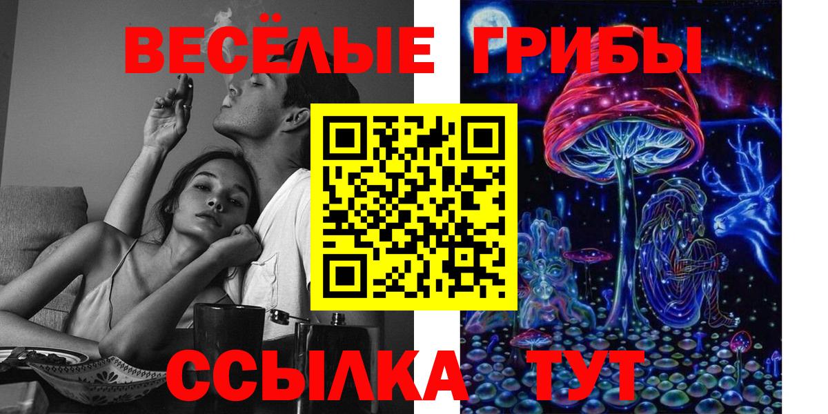 где найти наркотики  Вход с VPN  Касимов  Псилоцибиновые грибы Psilocybe 